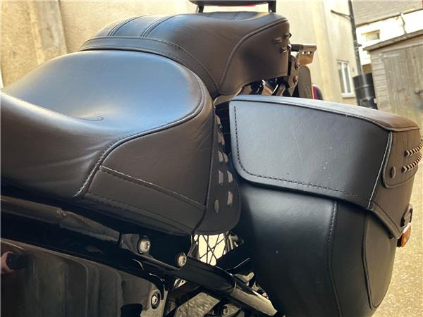 2019 Harley-Davidson Softail