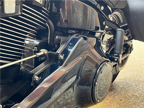 2019 Harley-Davidson Softail