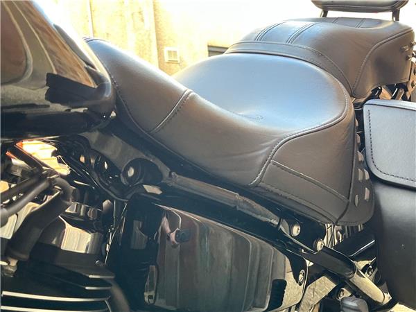 2019 Harley-Davidson Softail