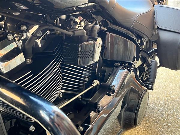 2019 Harley-Davidson Softail