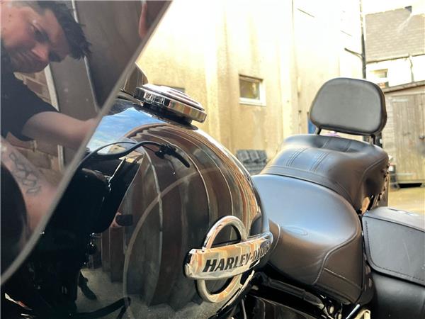 2019 Harley-Davidson Softail