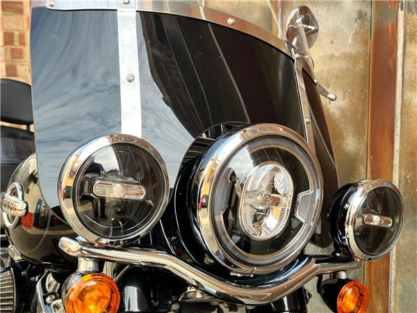 2019 Harley-Davidson Softail