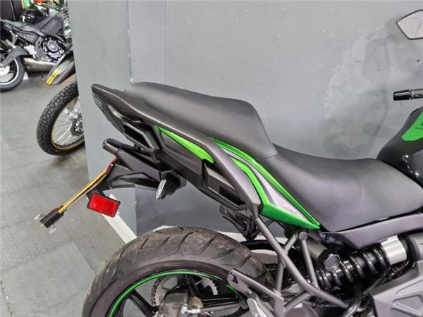 2024 Kawasaki VERSYS 650 GREEN