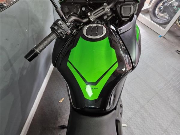 2024 Kawasaki VERSYS 650 GREEN