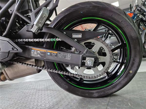 2024 Kawasaki VERSYS 650 GREEN