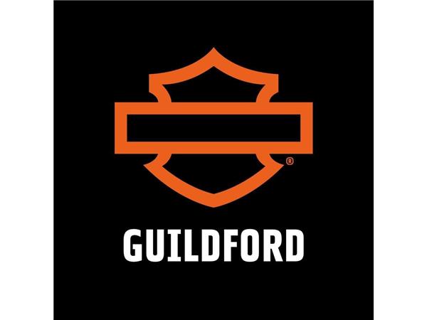 2017 HARLEY-DAVIDSON DYNA FXDF FAT BOB