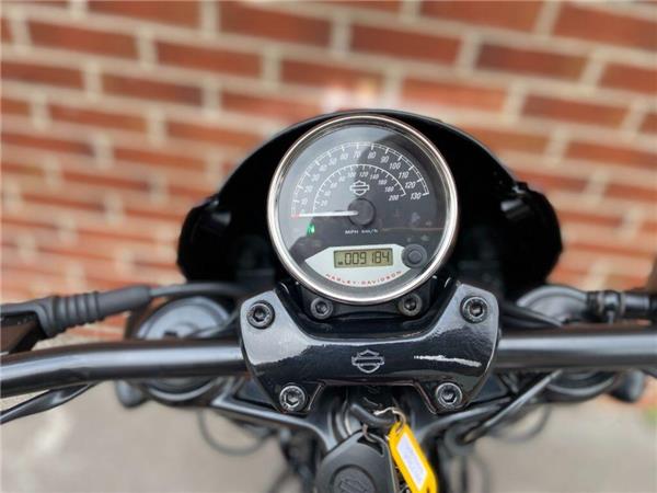2021 Harley-Davidson Street ROD XG 750 A 19