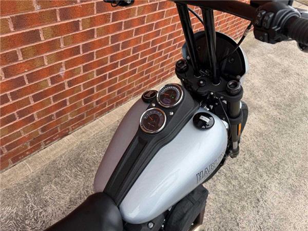 2021 Harley-Davidson Fxlrs LOW Rider S 1868 20