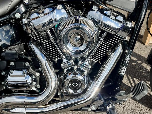 2020 Harley-Davidson Softail