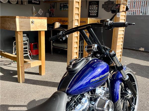 2020 Harley-Davidson Softail