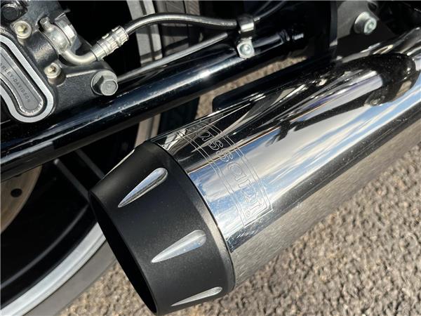 2020 Harley-Davidson Softail