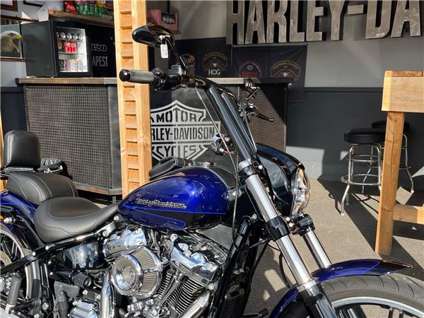 2020 Harley-Davidson Softail
