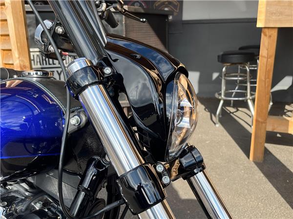 2020 Harley-Davidson Softail