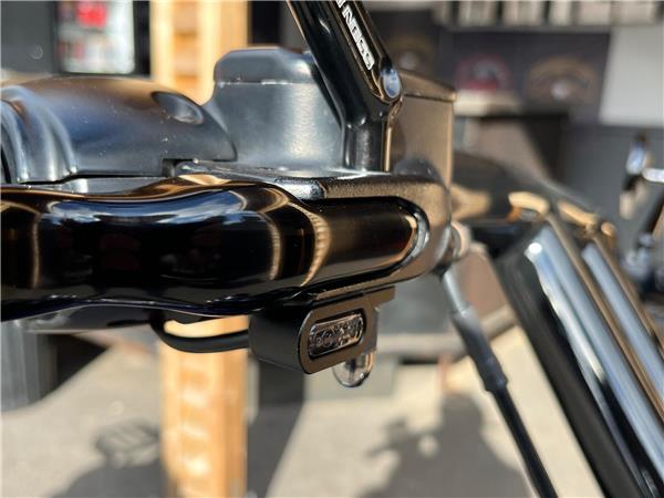 2020 Harley-Davidson Softail