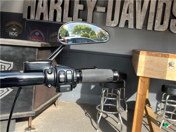 2020 Harley-Davidson Softail