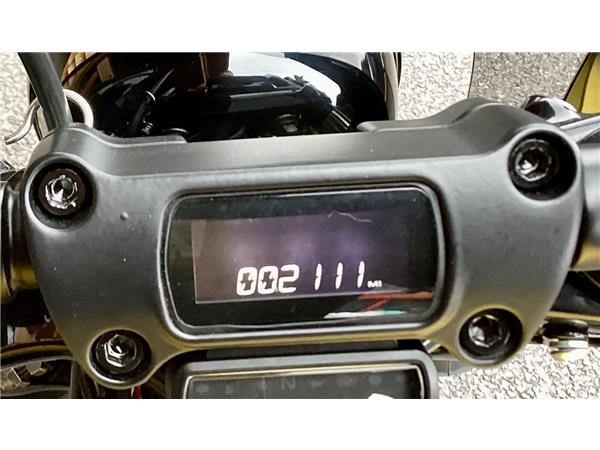 2024 Harley-Davidson Softail