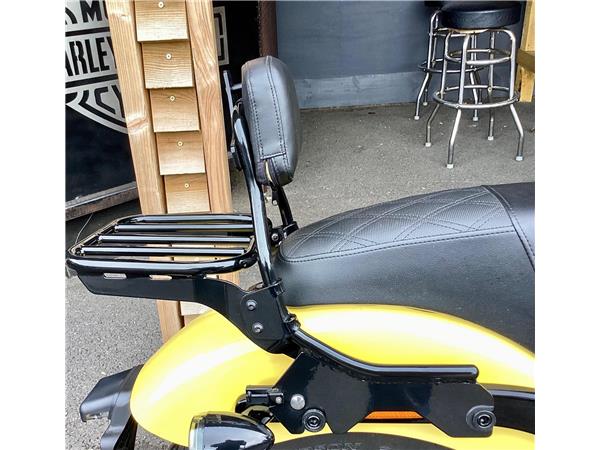 2024 Harley-Davidson Softail