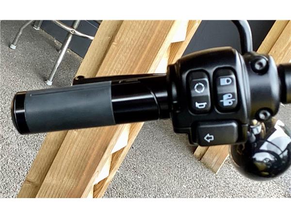 2024 Harley-Davidson Softail