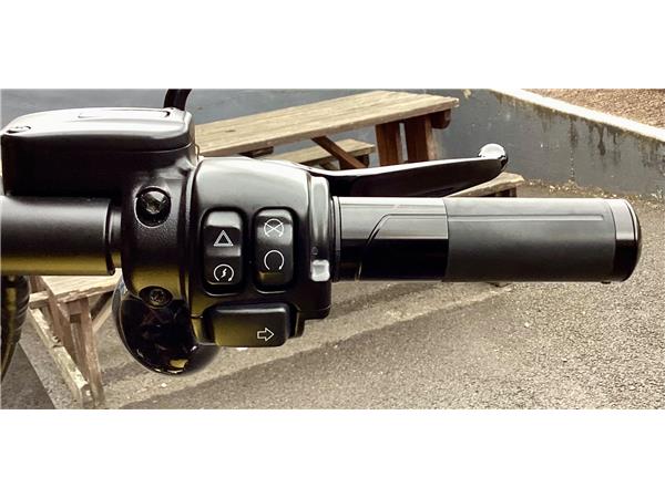 2024 Harley-Davidson Softail