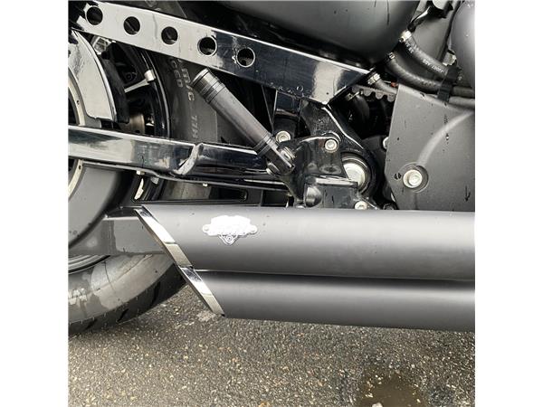 2017 HARLEY-DAVIDSON IRON