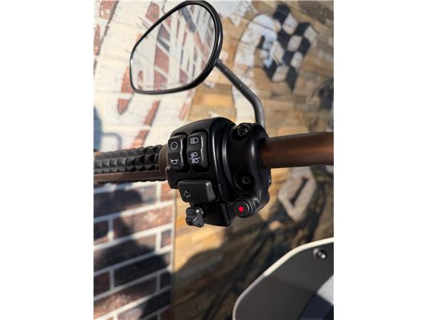 2023 harley-davidson FXLRST Low Rider ST 117