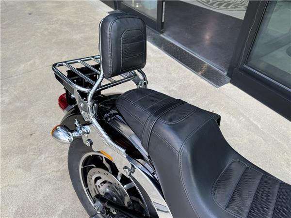 2018 harley-davidson FXLR 1745 Low Rider 107