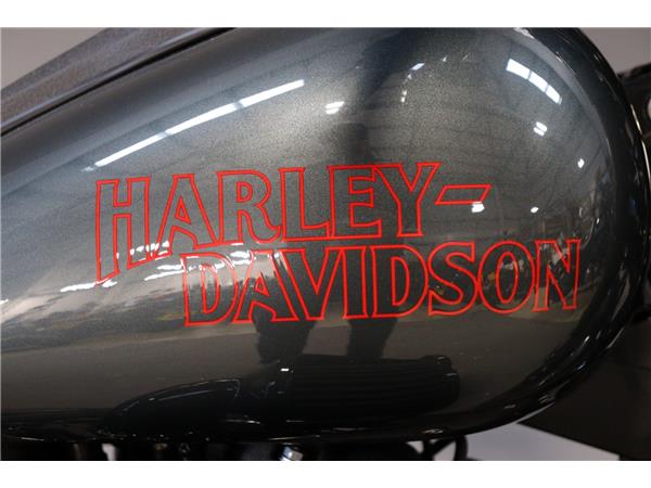 2025 HARLEY-DAVIDSON LOW RIDER S