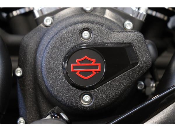 2025 HARLEY-DAVIDSON LOW RIDER S