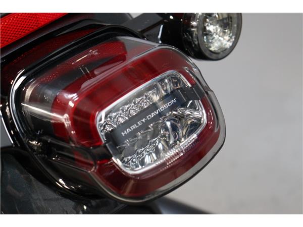 2025 HARLEY-DAVIDSON LOW RIDER S