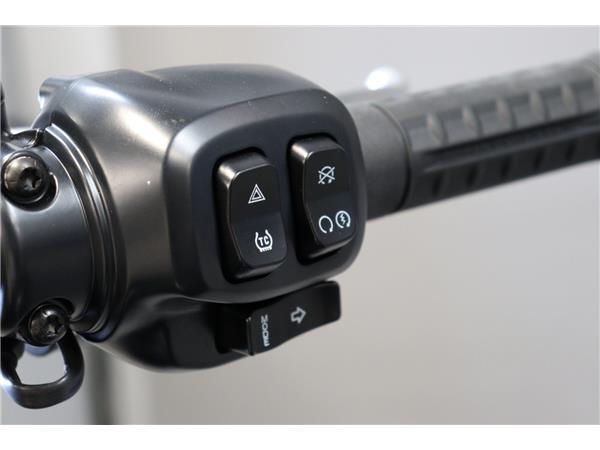 2025 HARLEY-DAVIDSON LOW RIDER S