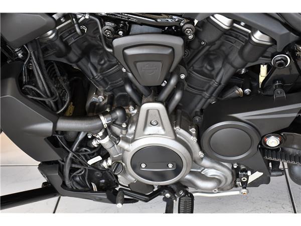 2022 HARLEY-DAVIDSON NIGHTSTER 975