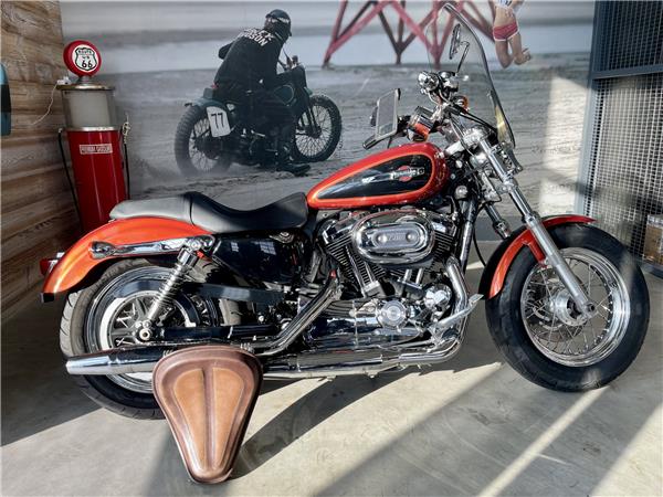 2011 HARLEY-DAVIDSON SPORTSTER 1200
