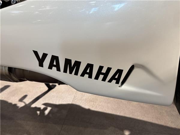 2024 YAMAHA XSR900 GP
