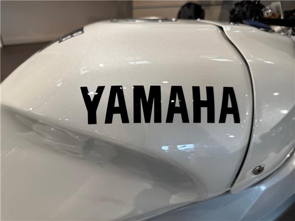 2024 YAMAHA XSR900 GP