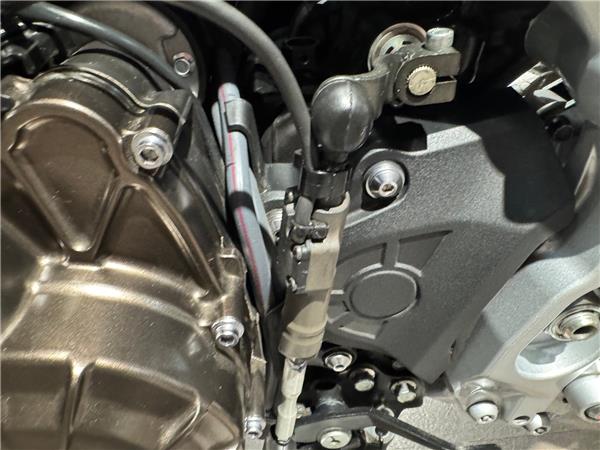 2024 YAMAHA XSR900 GP