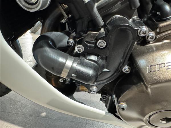 2024 YAMAHA XSR900 GP