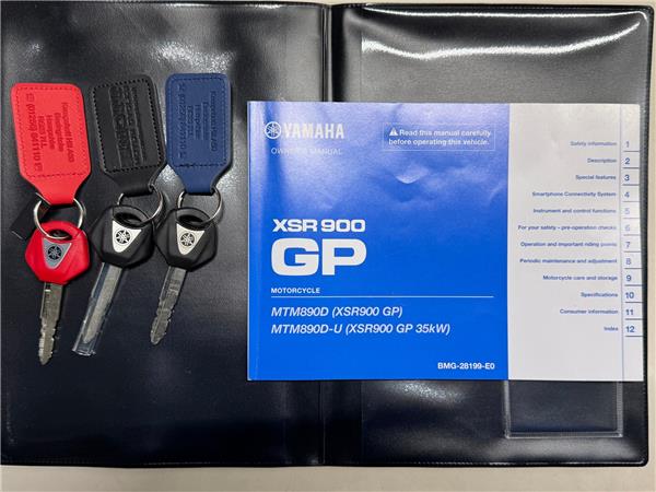 2024 YAMAHA XSR900 GP