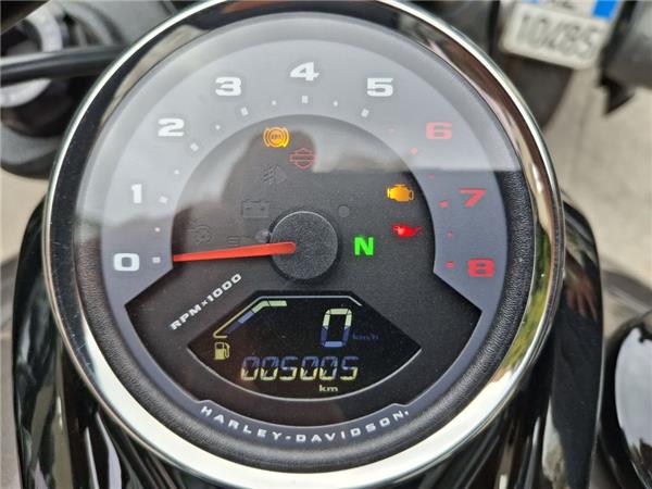 Harley-Davidson Softail-Cruiser