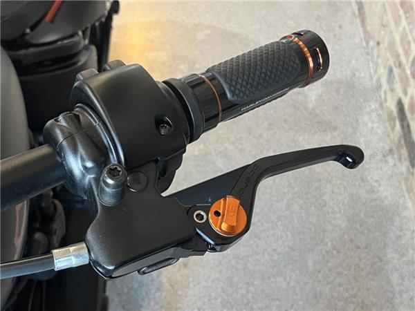 2023 Harley-Davidson Softail