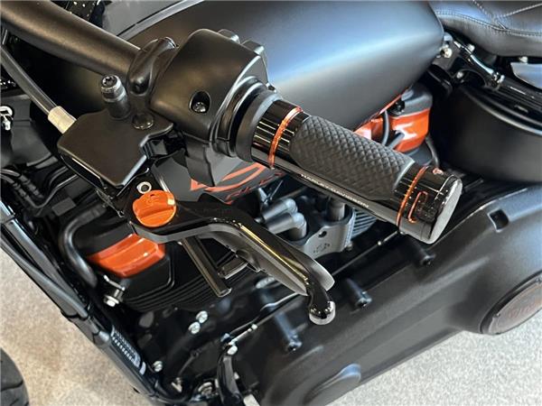 2023 Harley-Davidson Softail