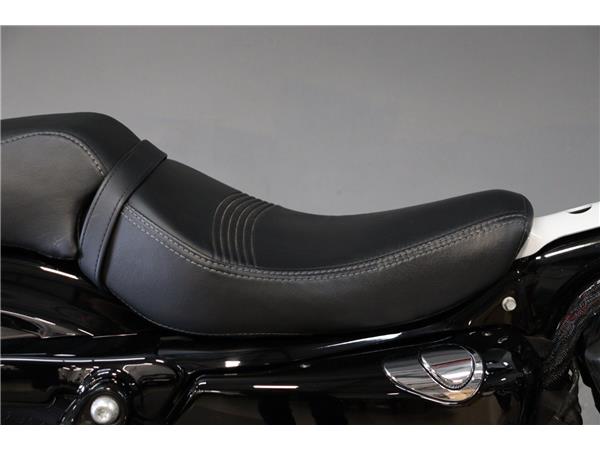 2019 HARLEY-DAVIDSON SPORTSTER XL1200X FORTY-EIGHT