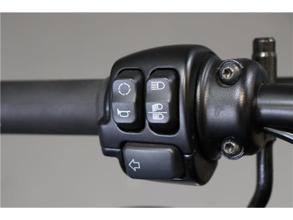 2019 HARLEY-DAVIDSON SPORTSTER XL1200X FORTY-EIGHT