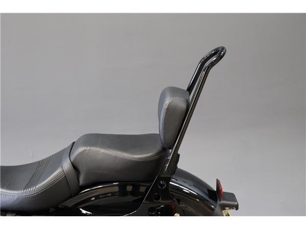 2019 HARLEY-DAVIDSON SPORTSTER XL1200X FORTY-EIGHT