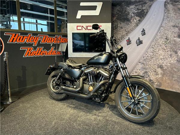 2015 Harley-Davidson XL883N Sportster Iron