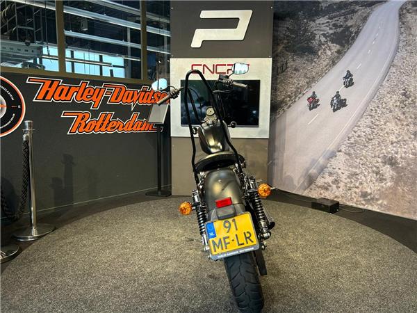 2015 Harley-Davidson XL883N Sportster Iron