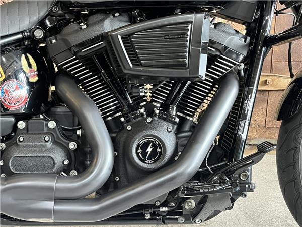 2020 Harley-Davidson Softail