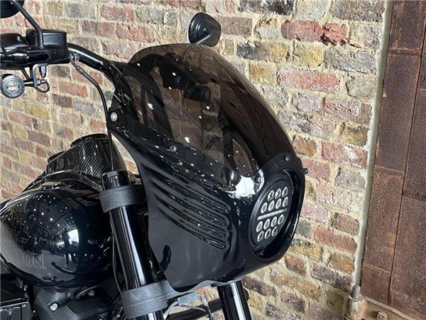 2020 Harley-Davidson Softail