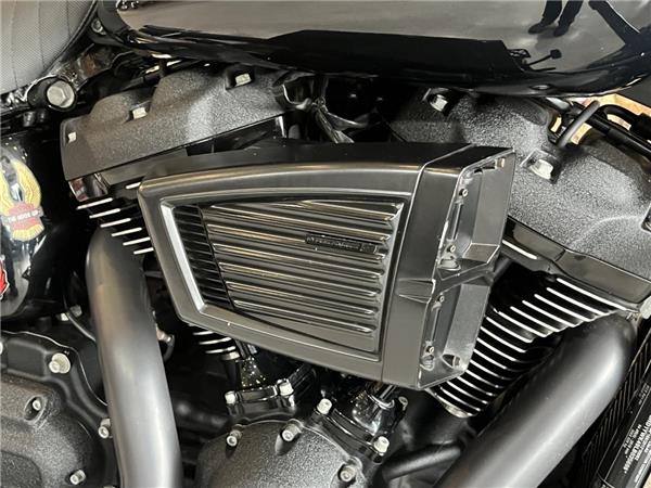 2020 Harley-Davidson Softail