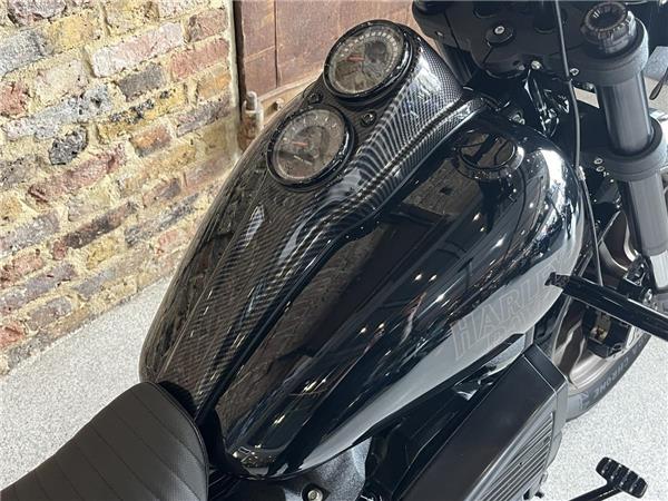 2020 Harley-Davidson Softail