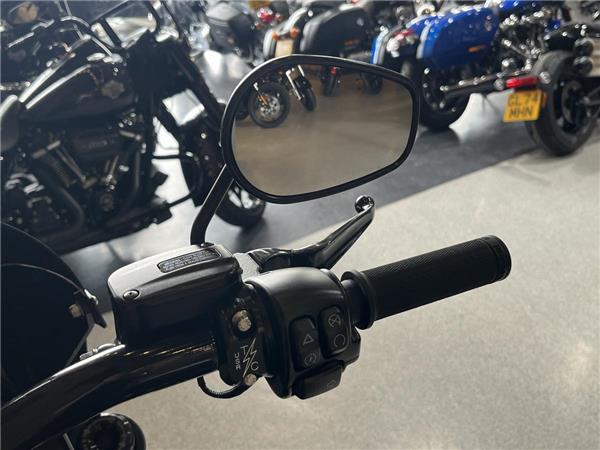 2020 Harley-Davidson Softail